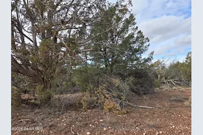 446 Arizona Road, Ash Fork, AZ 86320 - Photo 4