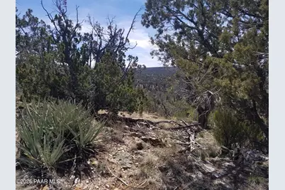 446 Arizona Road, Ash Fork, AZ 86320 - Photo 2