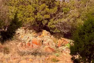 5050 Herrin Hollow Ln, Prescott, AZ 86303 - Photo 34