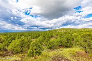 2667 N Overlook Dr, Williams, AZ 86046 - Photo 62