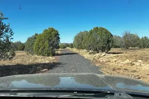 10777 Raging Crab Rd, Ash Fork, AZ 86320 - Photo 40