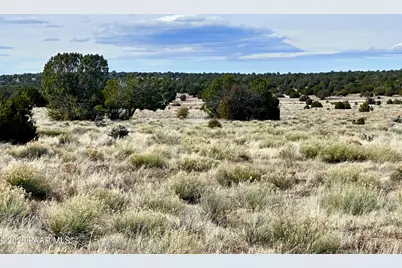 78 N Miller Road, Seligman, AZ 86337 - Photo 8