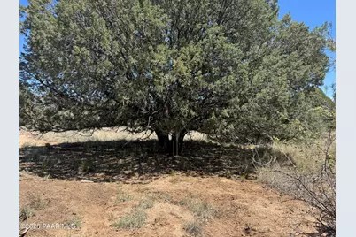 2265 W Black Ridge Trail, Prescott, AZ 86305 - Photo 12