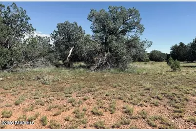 Lot 89Sw Arrow Way, Seligman, AZ 86337 - Photo 4