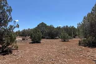 1886/1890 White Tail Pl, Show Low, AZ 85901 - Photo 1