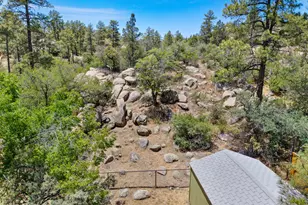 256 Whitney St, Prescott, AZ 86305 - Photo 6