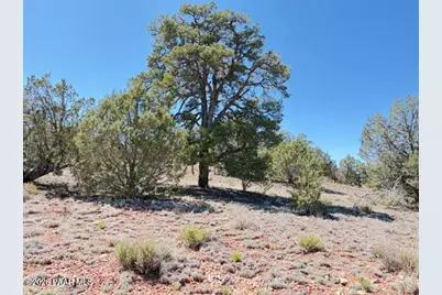 64550 N Flaming Star Drive, Seligman, AZ 86434 - Photo 2
