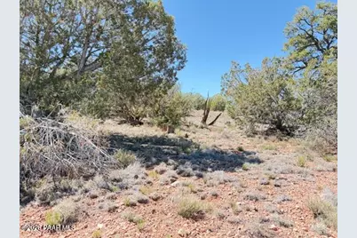 64550 N Flaming Star Drive, Seligman, AZ 86434 - Photo 4