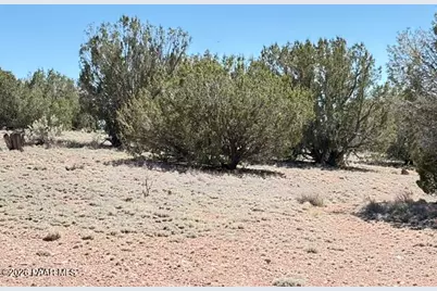 64550 N Flaming Star Drive, Seligman, AZ 86434 - Photo 32