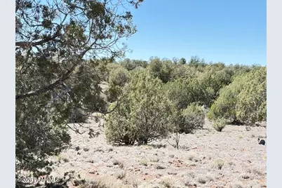 64550 N Flaming Star Drive, Seligman, AZ 86434 - Photo 34