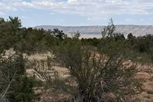 3883 N Shadow Mountain Pkwy, Seligman, AZ 86337 - Photo 1
