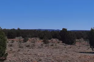 53528 N Cloudcroft Way, Seligman, AZ 86337 - Photo 44