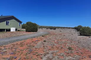 53528 N Cloudcroft Way, Seligman, AZ 86337 - Photo 42