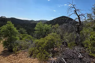 3045N W Forest Service Rd 73, Prescott, AZ 86303 - Photo 1