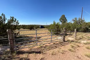 26797 W Fort Rock Rd, Seligman, AZ 86337 - Photo 1