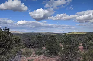 33749 W Whiskey River Rd, Seligman, AZ 86337 - Photo 26
