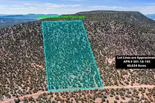 33749 W Whiskey River Rd, Seligman, AZ 86337 - Photo 2