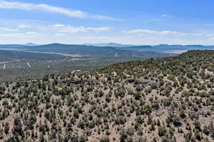 33749 W Whiskey River Rd, Seligman, AZ 86337 - Photo 40