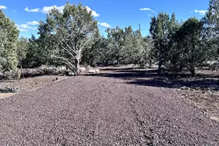 2467 Coconino Blvd, Williams, AZ 86046 - Photo 12