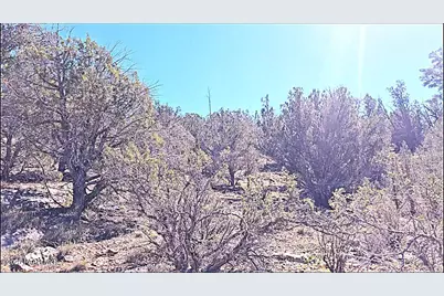 54913 N Echo Lane, Seligman, AZ 86337 - Photo 4