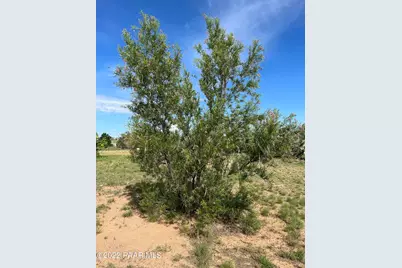 1201 W Justray Ranch Road, Chino Valley, AZ 86323 - Photo 32