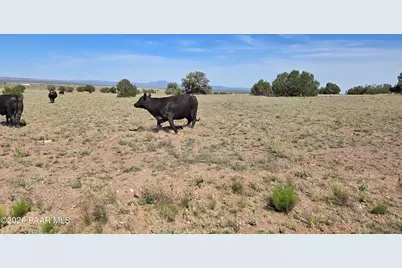 256D Old Antelope Run Road, Ash Fork, AZ 86320 - Photo 2