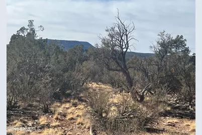54506 N Shadow Mountain Circle, Seligman, AZ 86337 - Photo 2