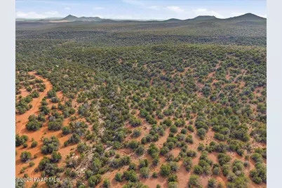 918 Wolf Road, Ash Fork, AZ 86320 - Photo 6