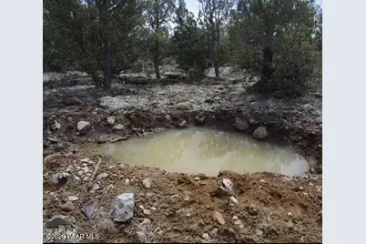 918 Wolf Road, Ash Fork, AZ 86320 - Photo 24