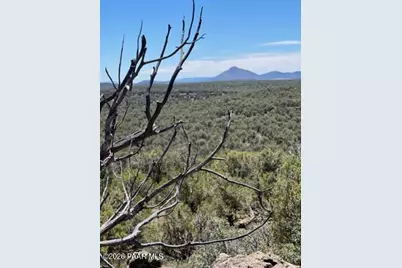 918 Wolf Road, Ash Fork, AZ 86320 - Photo 14