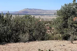 25713 W Medicine Man Trl, Seligman, AZ 86337 - Photo 20