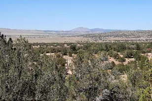 25713 W Medicine Man Trl, Seligman, AZ 86337 - Photo 28