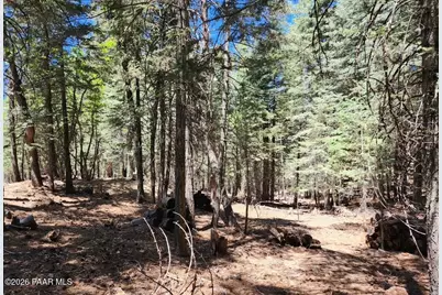 2475 E Summit Avenue, Prescott, AZ 86303 - Photo 12
