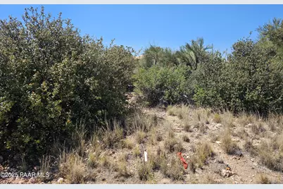 20654 E Bear Canyon Road, Mayer, AZ 86333 - Photo 6