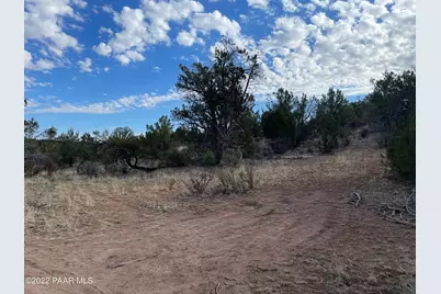 54663 N Forest Grove Way, Seligman, AZ 86337 - Photo 4