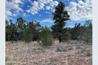 54663 N Forest Grove Way, Seligman, AZ 86337 - Photo 1