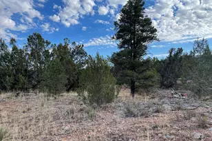 54663 N Forest Grove Way, Seligman, AZ 86337 - Photo 1