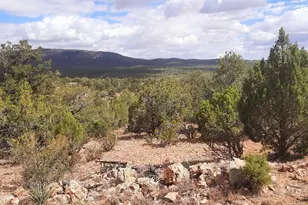 Xxxx W Game Trail, Seligman, AZ 86337 - Photo 18