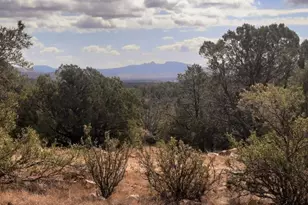 Xxxx W Game Trail, Seligman, AZ 86337 - Photo 24