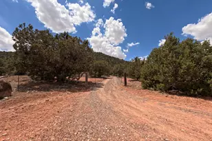 33867 W Whiskey River Rd, Seligman, AZ 86337 - Photo 46