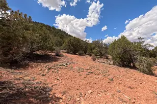 33867 W Whiskey River Rd, Seligman, AZ 86337 - Photo 48