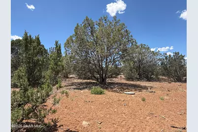 1885 Daggs Street, Show Low, AZ 85901 - Photo 4
