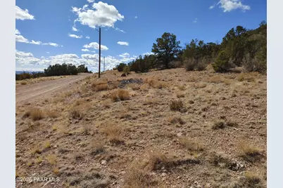 54870 Paint Brush Lane, Seligman, AZ 86337 - Photo 4