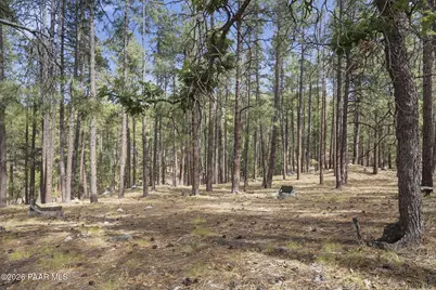 6237 S Champion Way Road, Prescott, AZ 86303 - Photo 36