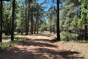 374 N Majestic Elk Ln, Payson, AZ 85541 - Photo 1