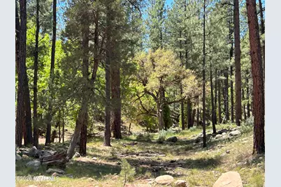 374 N Majestic Elk Lane, Payson, AZ 85541 - Photo 8