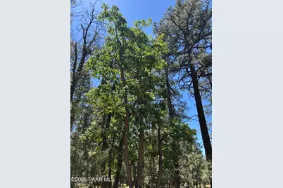 374 N Majestic Elk Lane, Payson, AZ 85541 - Photo 24
