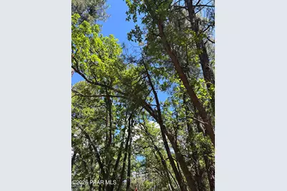 374 N Majestic Elk Lane, Payson, AZ 85541 - Photo 22