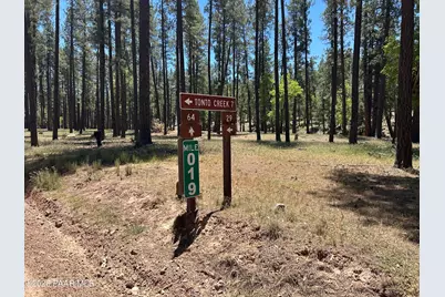 374 N Majestic Elk Lane, Payson, AZ 85541 - Photo 30