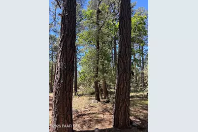 374 N Majestic Elk Lane, Payson, AZ 85541 - Photo 20